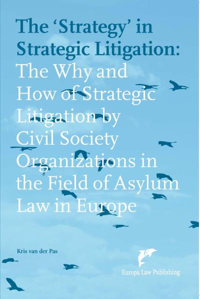 The ‘Strategy’ in Strategic Litigation